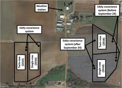 Influence of planting pattern on peanut ecosystem daytime net carbon uptake, evapotranspiration, and water-use efficiency using the eddy-covariance method